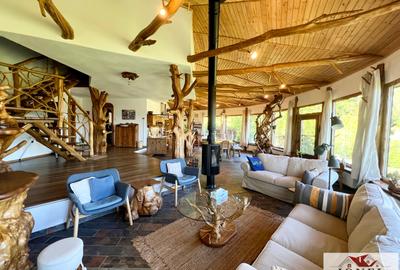 Casa exclusivista de vanzare in Aiud - 5