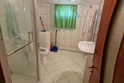 De vanzare casă în Burdujeni , aleea Dumbrăvii , Suceava - 11