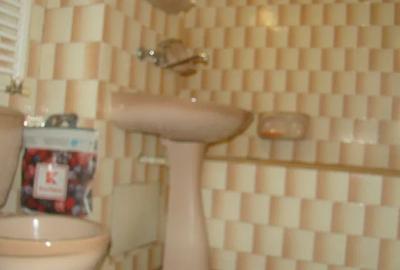 Apartament 3 camere pe Lunii, 67 mp, 2 băi - 5