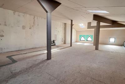 Casa Individuala - Gradina Icoanei | - 13