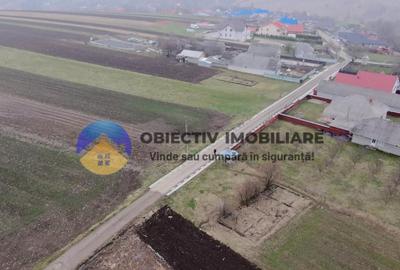 Casă + teren 1800 mp – comuna Grumăzești, judet Neamt - 9