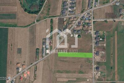Teren Construcții intravilan de 3800 mp, în Jucu de Mijloc