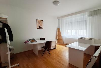 Apartament exclusivist 4 camere-decomadat-zona Primaverii - 10