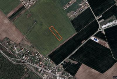 Vand teren agricol intravilan Buftea - 7175 m2 - 1