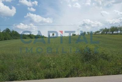 Teren intravilan 3500 mp Zalau - 5