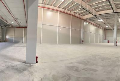 Hale de inchiriat aproape de DNCB - 3