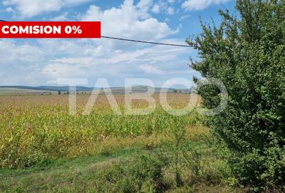 Teren agricol extravilan de 28000 mp, în Șura Mică