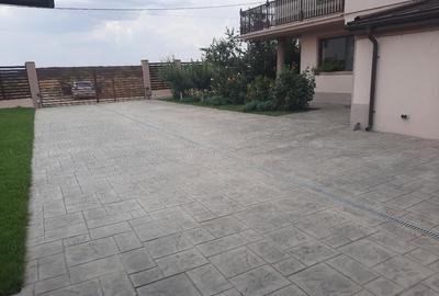 FARA COMISION casa 4 camere 2 bucatarii 2 puturi beci livada 1500mp SAU 3300mp - 3