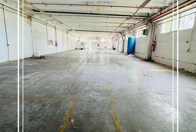 Hala de închiriat 500+500 mp Aradul nou curte comuna păzită - 1