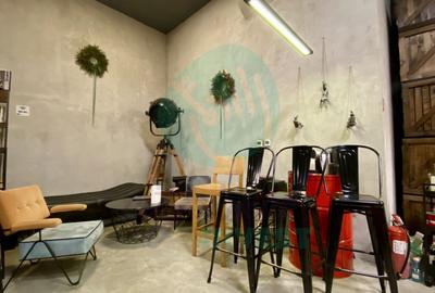 Spatiu special in vila interbelica, Armeneasca - 9