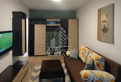 Apartament 1 camera, Micalaca - 1