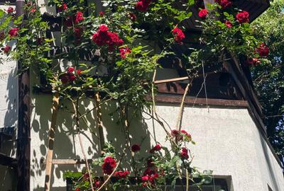 Proprietate Breaza de vis , zona de vis , prezentarea agentului , de vis - 17