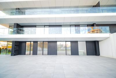 SPATIU COMERCIAL -  FLOREASCA / FABRICA DE GLUCOZA - 543 MP - 3