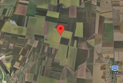 Teren agricol 4150 mp cu deschidere 24 ml la DE - situat intre Corbu si Sacele - 1