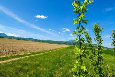 Oportunitate investitie! Teren 47.577 mp, Codlea .-. Ghimbav, pozitie excelenta - 4