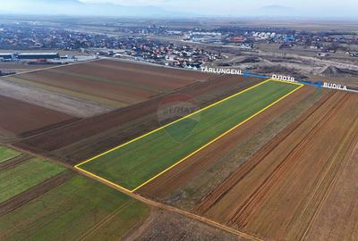Teren extravilan | 14,600mp | Tărlungeni - 2