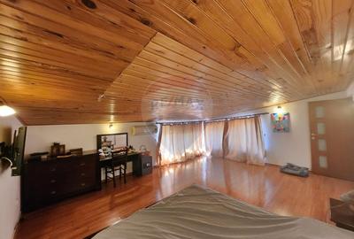 Apartament tip mansarda ultraspatios Polona | St. Cel Mare | Romana - 5