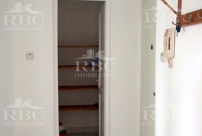 Apartament 1 camera decomandat in zona Parcului Armatura - 13