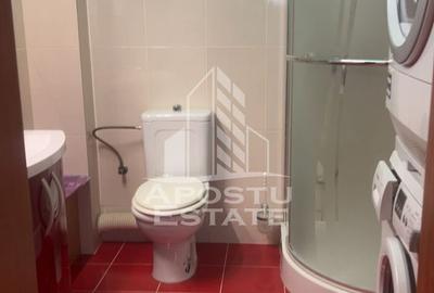 Apartament 2 camere de inchiriat, centrala proprie, Chisoda, Timisoara - 11