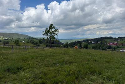 Teren | 13600 mp | Mărișel - 7
