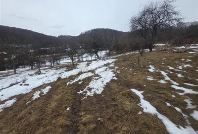 Teren 1812 mp, intravilan , Sovata, jud, Mures - 4