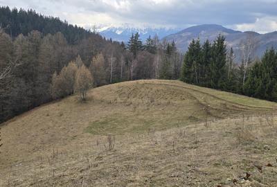 Teren intravilan construibil Brasov Bran  Poarta utilitati vedere spre munti - 8