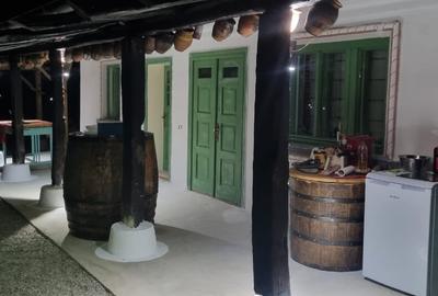 Casa traditionala intr-o zona de vis pe langa Curtea de Arges - 9