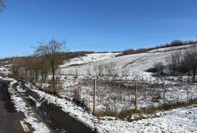 Teren intravilan 1.000 mp imprejmuit – Luncsoru, comuna Ghercesti - 1