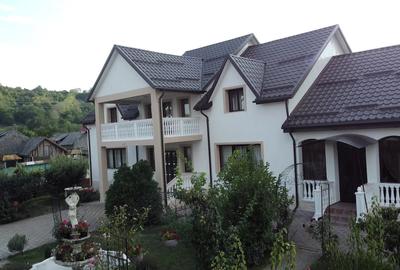 Vila superba 400m2 complet mobilata cu 5000m2 de teren - 7