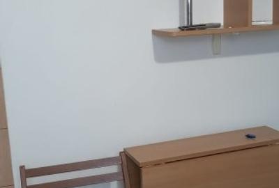 GARSONIERA MOBILATA SI UTILATA,CONTORIZATA,BLOC REABILITAT, - 31