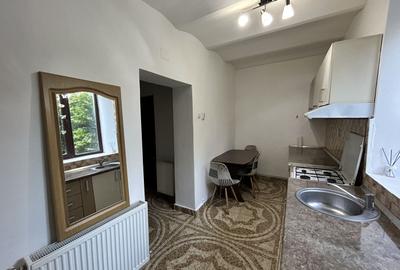 Apartament 1 camera Boul Rosu de inchiriat - 3