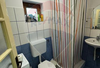 Casă / Vilă nouă cu 5 camere + casă bătranească renovată - 20