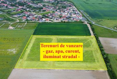 Terenuri Bucovat, cu gaz, apa, curent– 58 euro/mp+TVA - 7