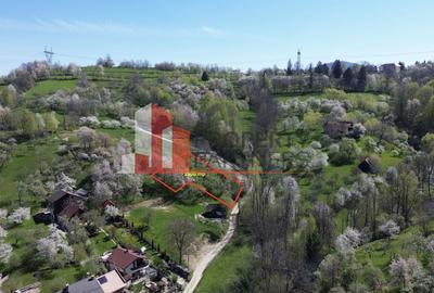 Teren 2500 mp Sohodol - 1