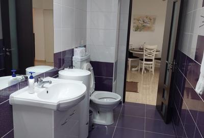 Inchiriere 2 camere zona ALBA IULIA-UNIRII - 13