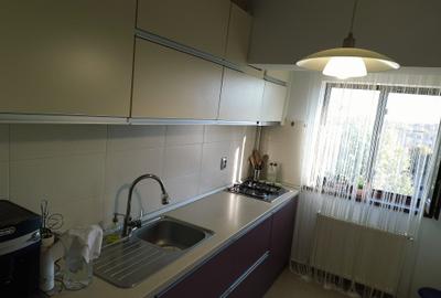 2 camere Craiovei , mobilat / utilat , Amplasament DEOSEBIT !!! - 11