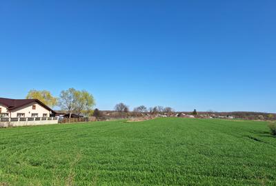 Ocazie!! deschidere 41m la DN1, pretabil vile/magazin/casa particulara - 1