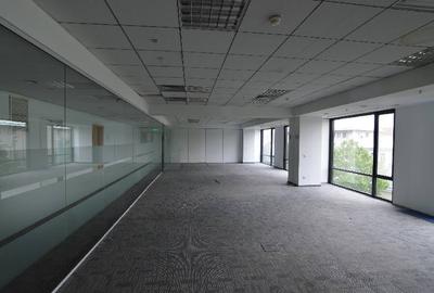 America House, Victoriei, 200 - 240 mp  0% comision! - 14