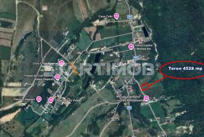 Teren extravilan Glajarie zona Cuibul de Lemn - 6