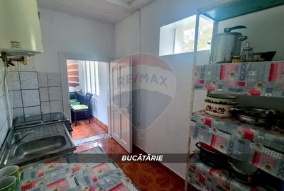 DE VANZARE PROPRIETATE DEOSEBITA LA TARA - 17
