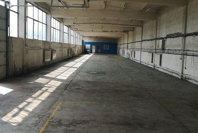 Hala 750 Mp, Zona  Stupini Ocolitoare - 1