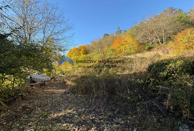 Teren intravilan 1543 mp – zona Darmanesti - 1