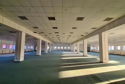 Spatiu show room, 1500 mp , parcare , Calea Lugojului - 5