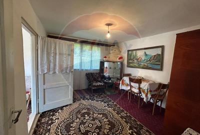 Casa bunicilor, cu gradina, Lera, Buzau! - 2