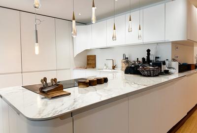 Apartament cu gradina 180mp Kiseleff - 3