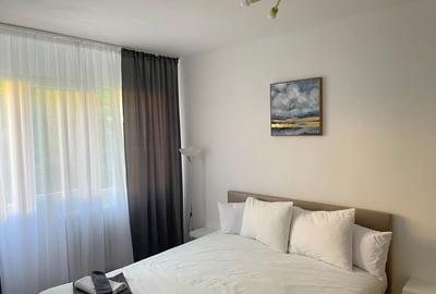 Apartament 2 camere-Take Ionescu Timisoara - 3