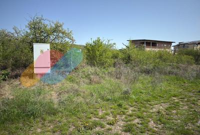 Teren intravilan 1000 mp, zona Giuseppe Verdi - 4