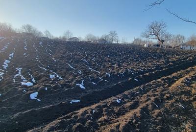 Loc de casa in Manastirea Doamnei - 2