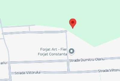 Intravilan 420m2 pe partea dreaptă - 7
