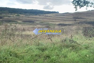 Teren intravilan de vanzare 1248 mp d=15 mTeleac cu utilitati panorama deosebita - 4